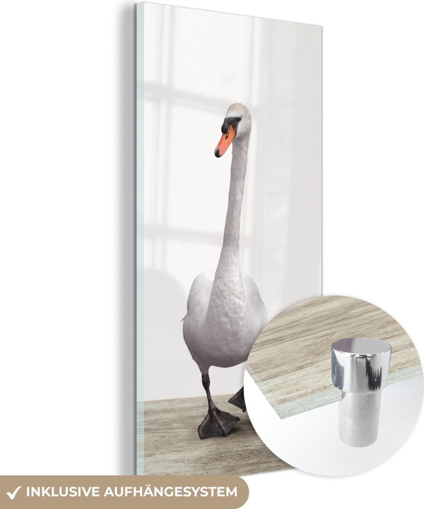 MuchoWow Glasbilder - Bilder auf Wandbild - Foto auf Glas Schwan - Tiere - Vogel - Jungen - Mädchen - Kinder 60x120 cm Wanddekoration aus Glas - A...