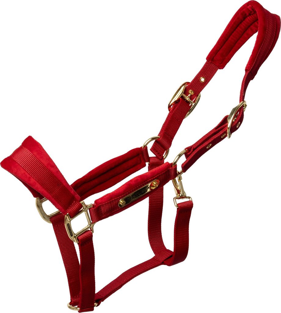 Kentucky Horsewear Halfter Velvet Samthalfter Stallhalfter Rot Full