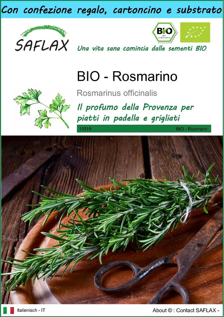 SAFLAX Set regalo -- Rosmarino - 40 semi - Rosmarinus Immagine del prodotto 