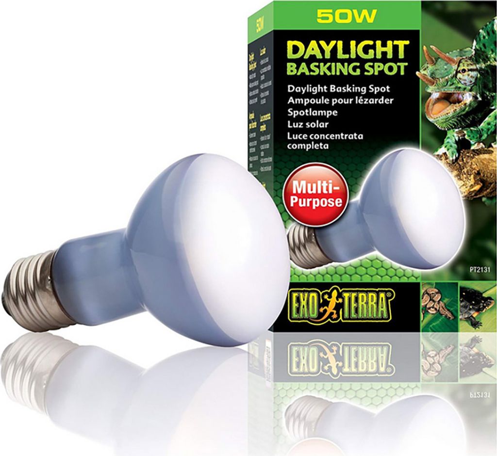 EXO TERRA Tageslicht 50W (Neodym-Glühbirne) Exo terra