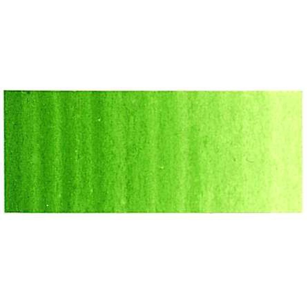 Winsor Newton WINTON 37ML TERRE VERTE 637 Oelfarbe