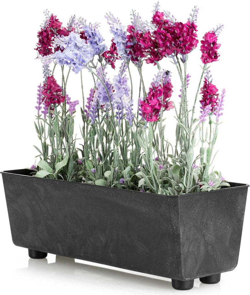 HowHomely | Jardinière - Salvia - 37,5x17 cm - Béton noir - Image du produit 