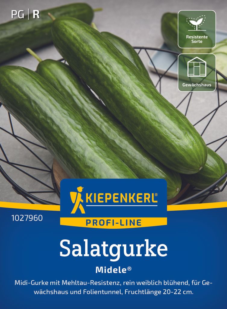 Kiepenkerl Salatgurkensamen Midele F1 Cucumis sativus 5 Produktbild 