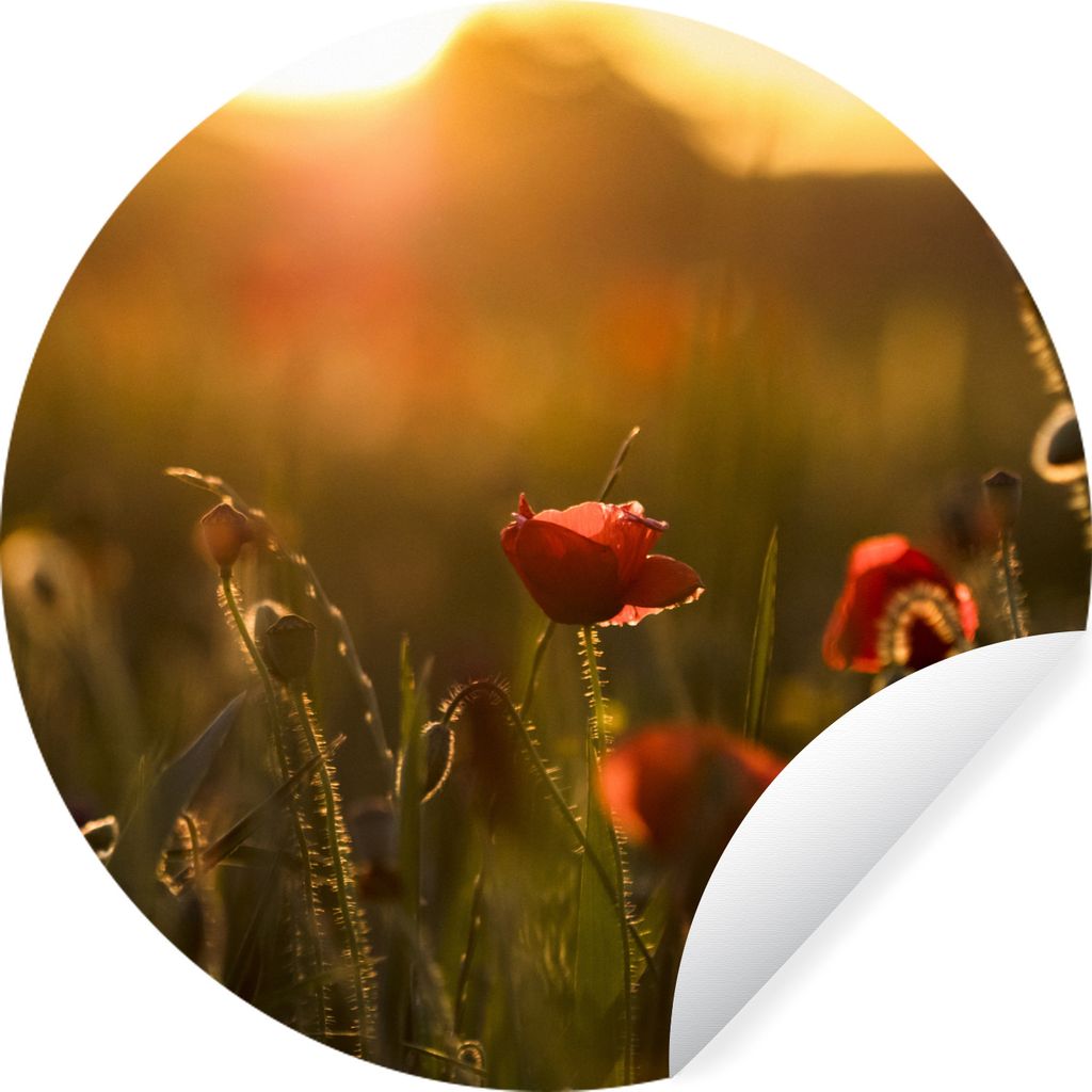 MuchoWow Runde Wandtattoo - Wandsticker Tapete Aufkleber Mohn - Sonnenuntergang - Gold Ø 100 cm Selbstklebend und Repositionierbar - Wandaufkleb...