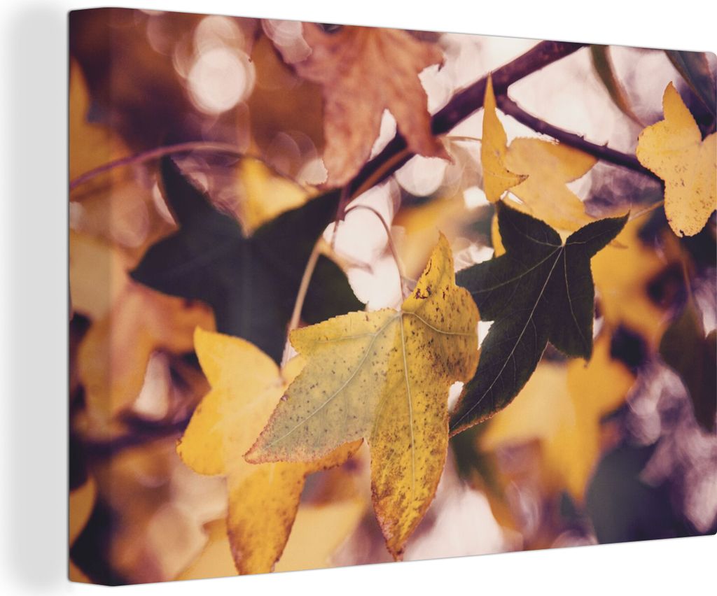 OneMillionCanvasses - Leinwandbilder - 150x100 cm, Blätter - Ahorn - Herbst - Jahreszeiten, Wandbilder Kunstdruck Wanddekoration - Foto auf Lein...