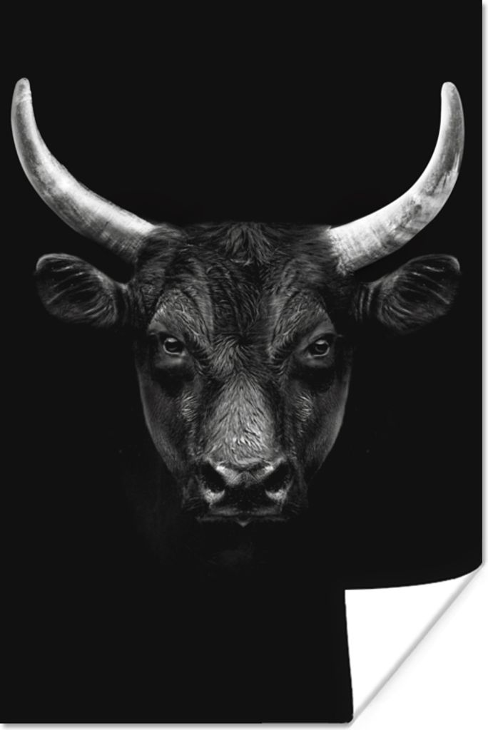 MuchoWow Poster Tiere - Stier - Schwarz - Weiß - Porträt 40x60 cm - Plakate für die Wand - Poster Babyzimmer