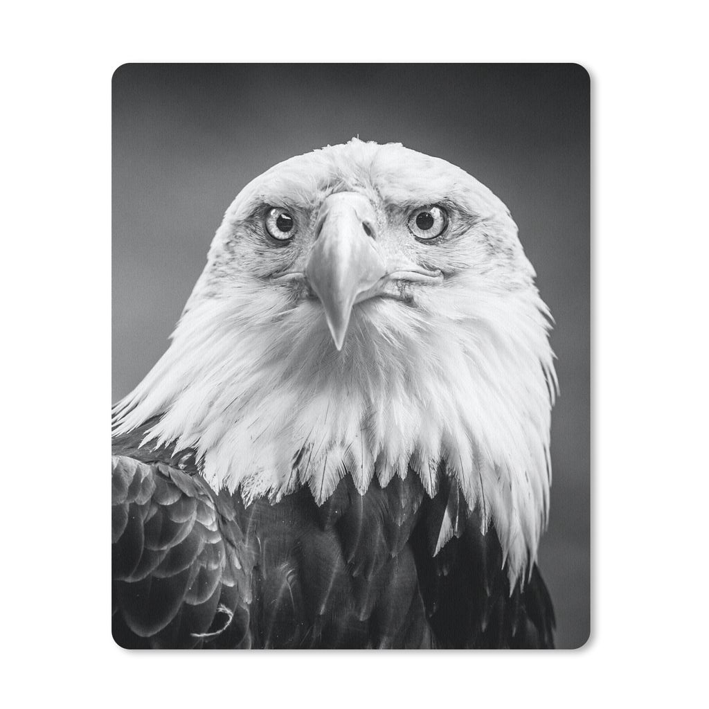 MuchoWow Mauspad Mousepad Adler - Raubvogel - Schwarz - Weiß - Tiere 19x23 cm - Mousepads - Maus Mat - Pad - Mausunterlage - Mauspads - Spielen