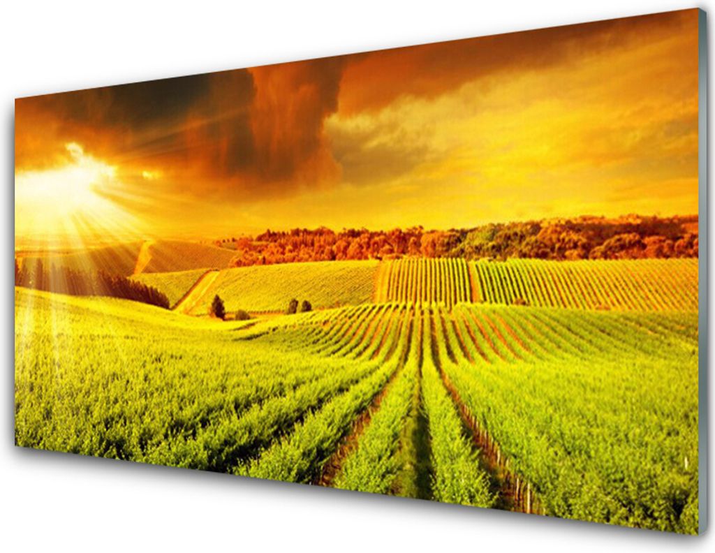 Acrylglasbilder 100x50 Wandbild Druck Feld Acker Produktbild 
