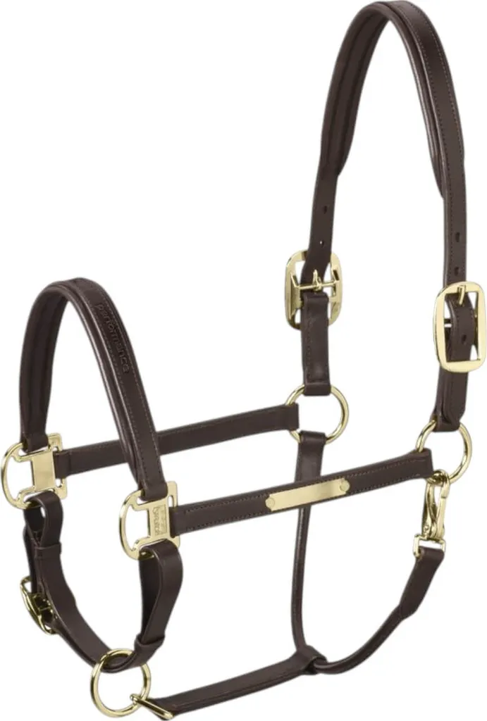 Eskadron Halter Elegance in pelle Halter in pelle marrone scuro WB