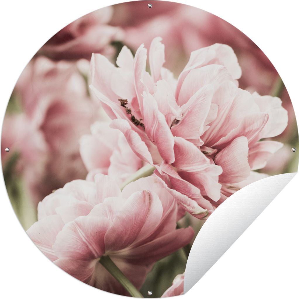 MuchoWow Gartenposter Outdoor-Poster Rund Die Sonne scheint auf diese hellrosa Tulpen Ø 120 cm Gartendeko Rundes Poster draußen