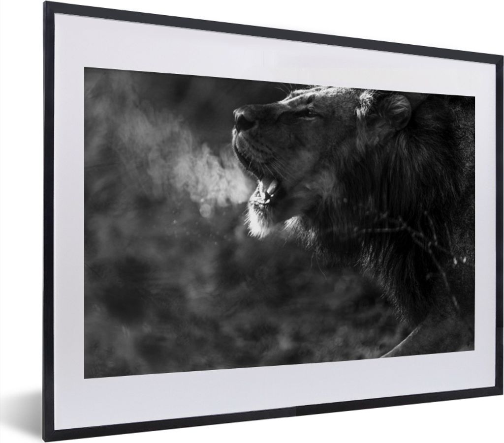 MuchoWow MuchoWow Gerahmtes Poster Löwe - Wild - Gras 40x30 cm - Poster mit zchwarzem Bilderrahmen - Bilderrahmen - Poster im Rahmen