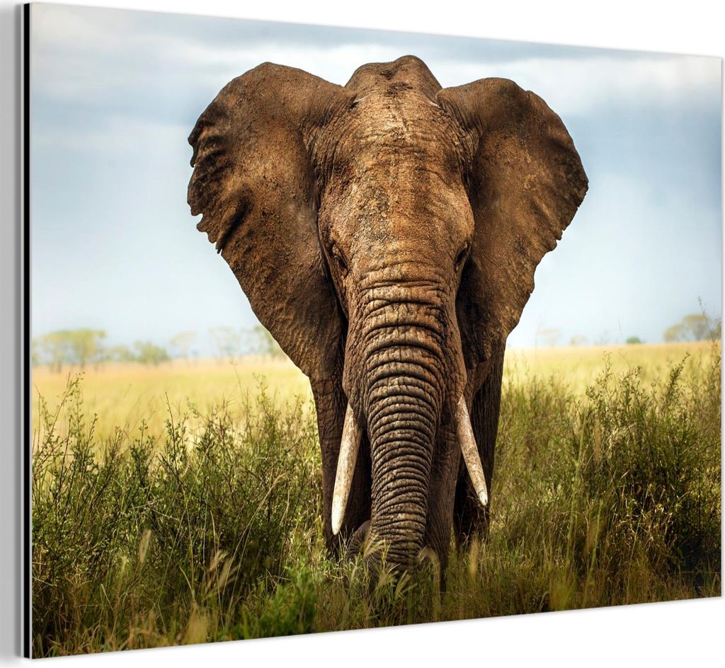 MuchoWow Wanddekoration Metall Metallbild Wandkunst 90x60 cm Afrikanischer Elefant Vorderansicht MuchoWow Aluminium Gemälde - Wandbilder