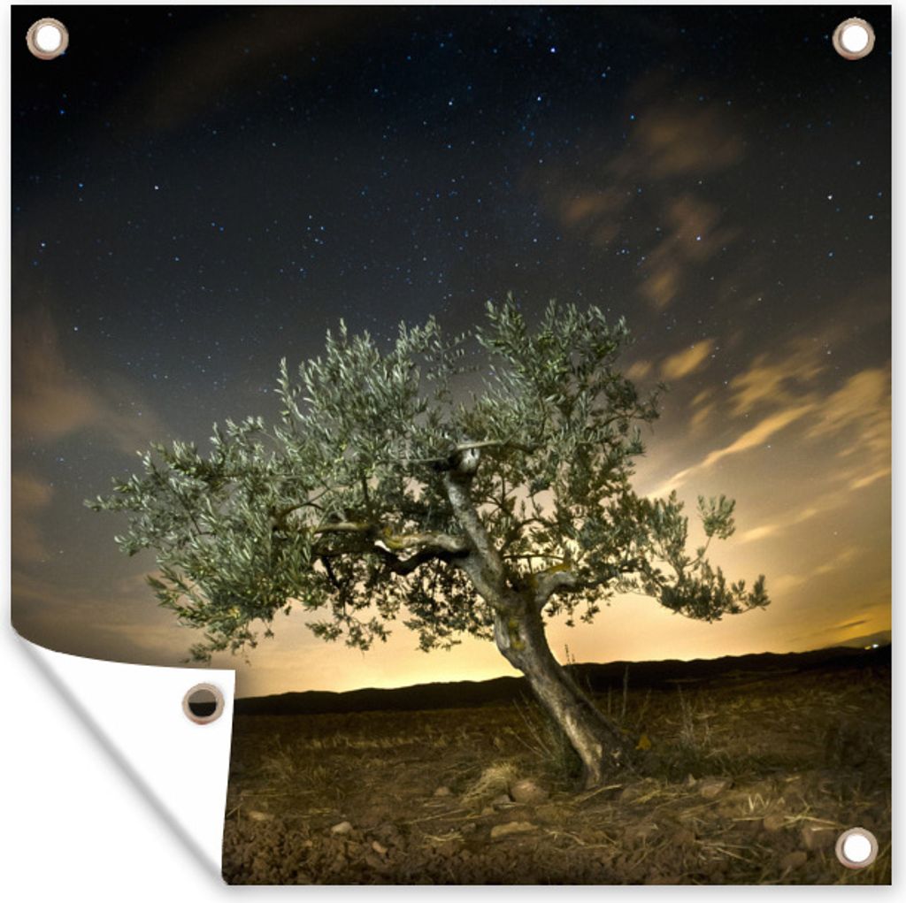MuchoWow 100x100 cm Outdoor-Poster Gartendeko Sichtschutz Garten Poster für den Garten Ein Olivenbaum unter einem beeindruckenden Himmel