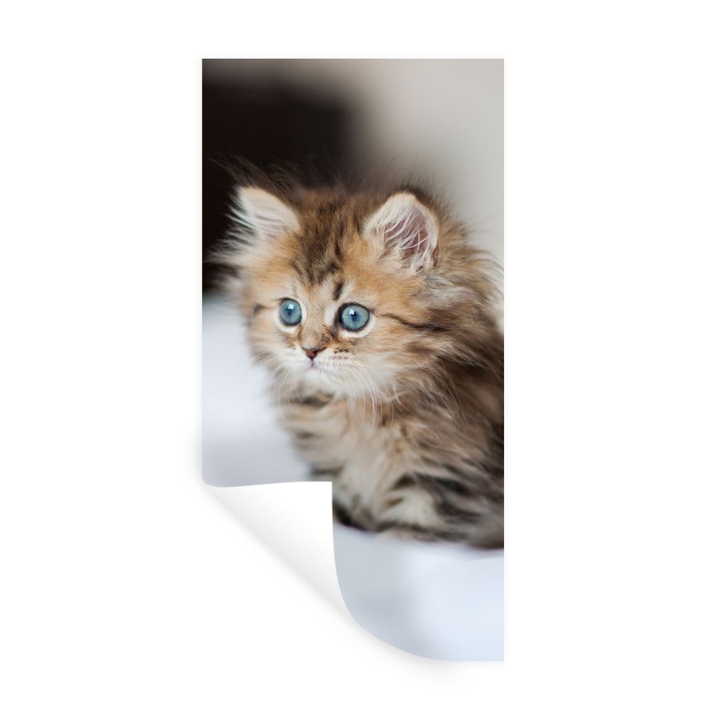 MuchoWow Wandtattoo Wandsticker Wandaufkleber Niedliches persisches Kätzchen 40x80 cm Selbstklebend und Repositionierbar - Repositionierbar - Wa...