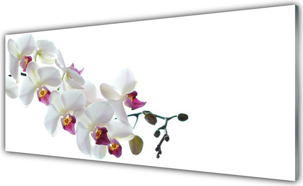 Acrylglasbilder 125x50 Wandbild Druck Blumen Pflanzen