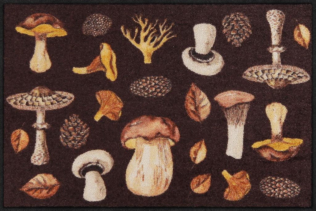 Salonloewe MUSHROOM TIME Fußmatte Wohnmatte 50 x 75 cm