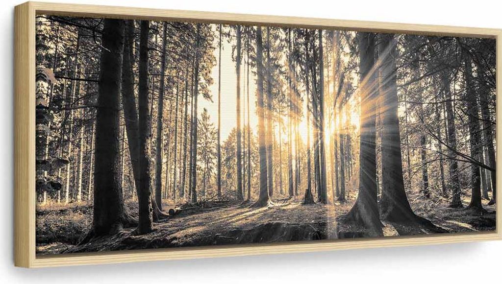 Italienischer Leinwand Leinwandbild - Forest Sun 150x50 cm Landschaften c-B-0077-b-c