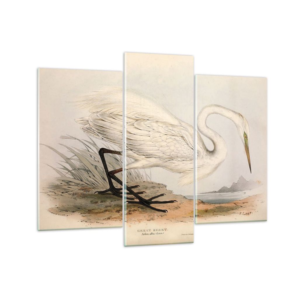 Bilder auf glas - 3 Teile - Vogel Weiß Reiher - 130x100cm - Glasbilder - Wandbilder - Bilder - zum Aufhängen bereit - Wanddekoration aus Glas - G...