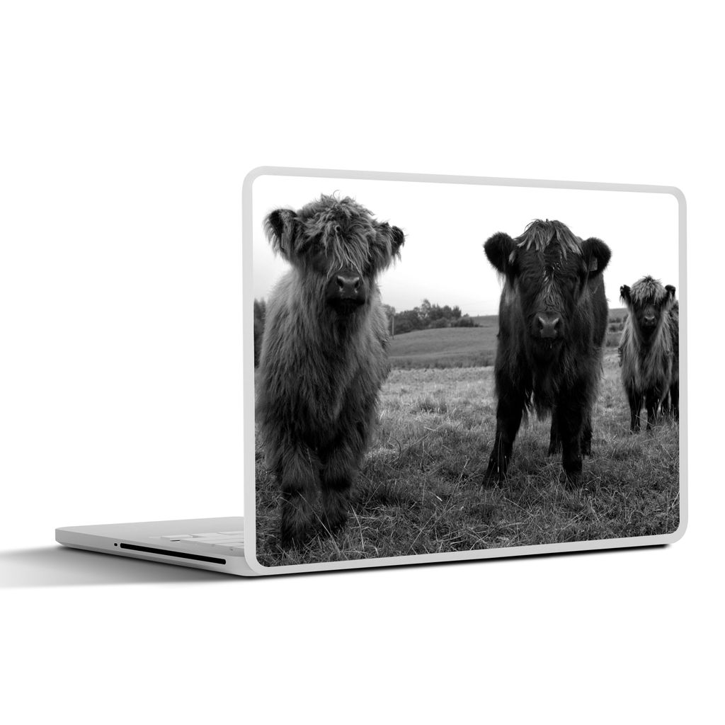 MuchoWow Laptop Aufkleber Sticker Cover Schottische Highlander - Kühe - Natur - Grün - Gras 25x18 cm - Laptop-Deko