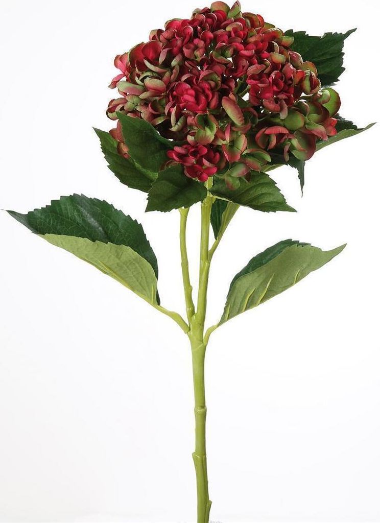 Gilde Hortensie/2 aus Kunststoff · rot-grün Höhe 72 cm 54073
