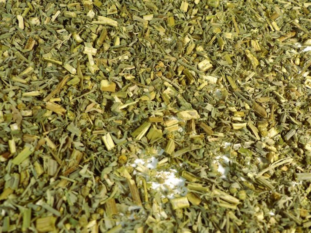 Wermutkraut geschnitten Naturideen® 100g Produktbild 