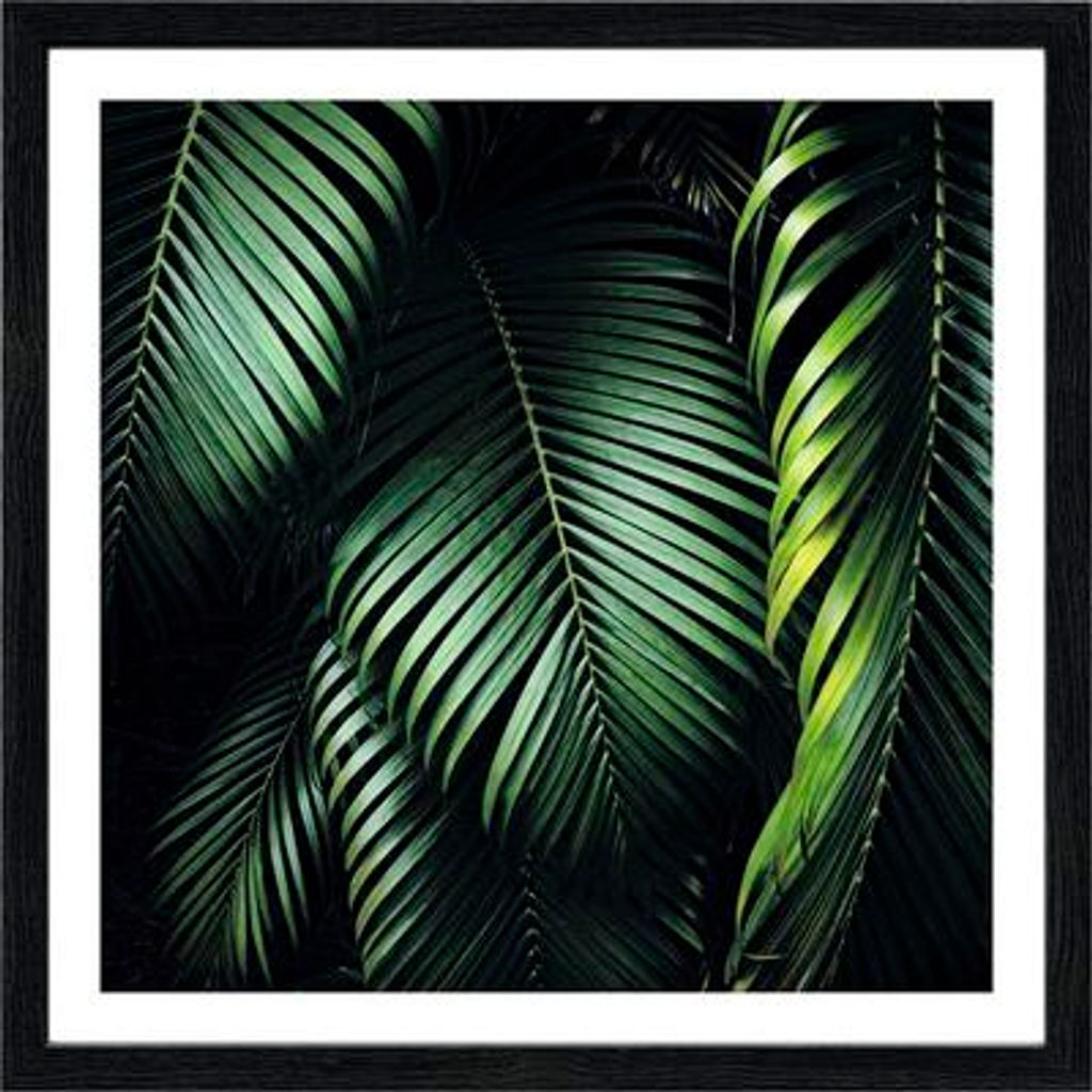 Gerahmtes Bild Jungle Leaves I 28x28 cm
