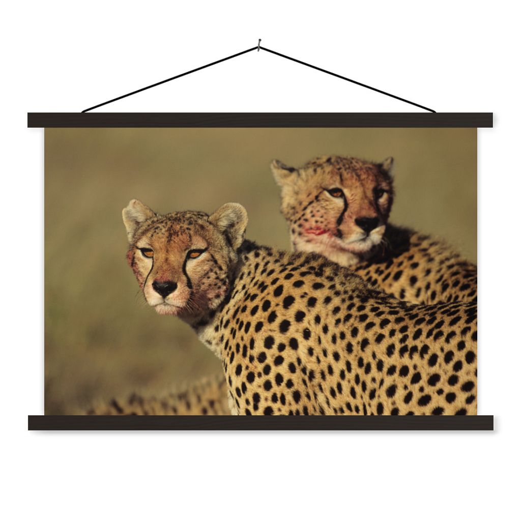 MuchoWow Textilposter Zwei Geparden in der Savanne 120x80 cm mit schwarzem Rahmen - Wanddeko