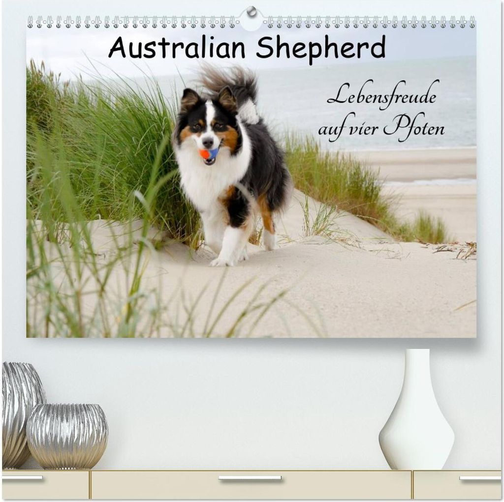 Australian Shepherd - Lebensfreude auf vier Pfoten (hochwertiger Premium Wandkalender 2026 DIN A2 quer), Kunstdruck in Hochglanz