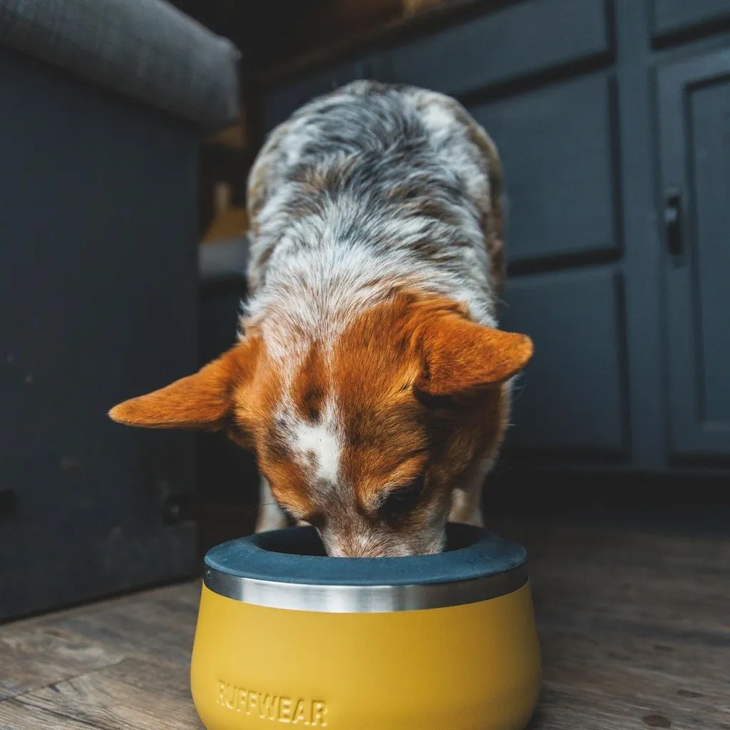 Insert Ruffwear Basecamp en silicone flexible contre les débordements - 5