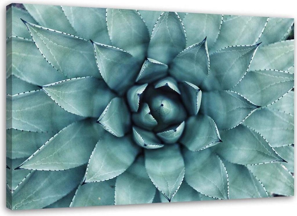 Leinwandbild blaue aloe vera 90x60 cm Feeby grün wandbild bereit zum aufhängen