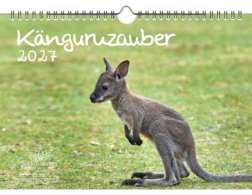 Känguruzauber DIN A4 Kalender für 2027 Känguru - Seelenzauber