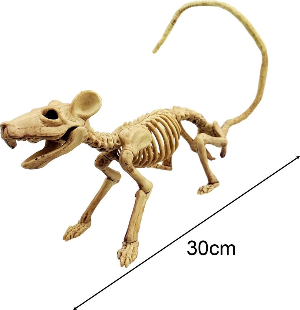 Halloween-Maus-Skelett-Ornament, gruseliger, realistischer Tierskelett-Knochen für Party-Feativ-Dekoration