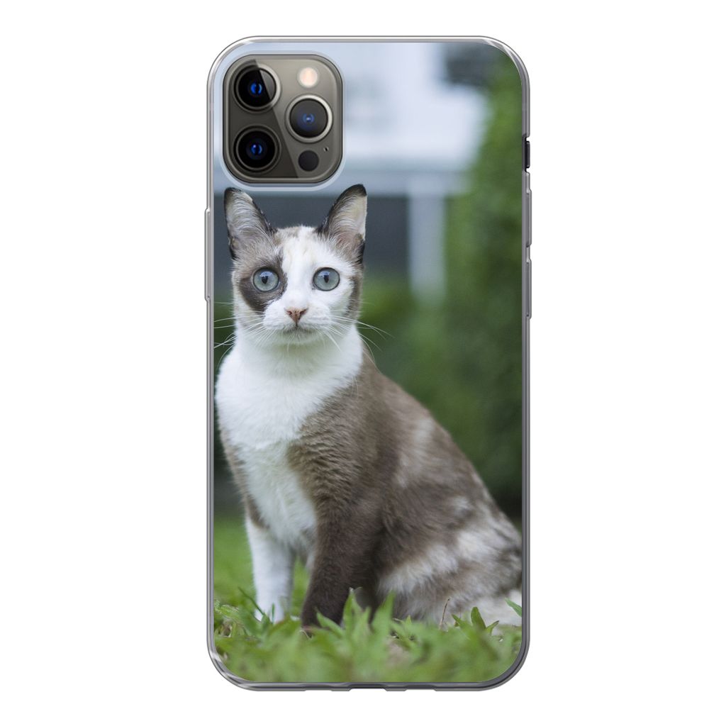 MuchoWow Handyhülle Schutzhülle Hülle für iPhone 12 Pro Max Katze - Siamese - Gras - Mädchen - Kinder - Jungen - Kind Silikon Softcase Handy...