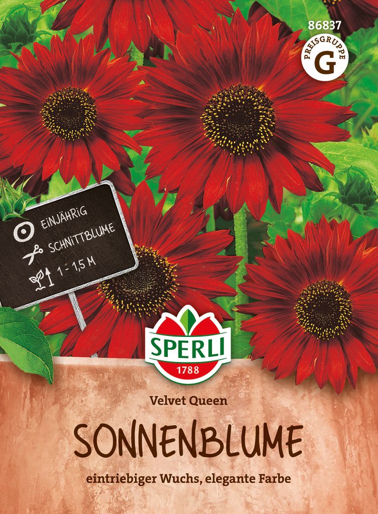 SPERLI Sonnenblumensamen Velvet Queen Helianthus annuus 40 Produktbild 