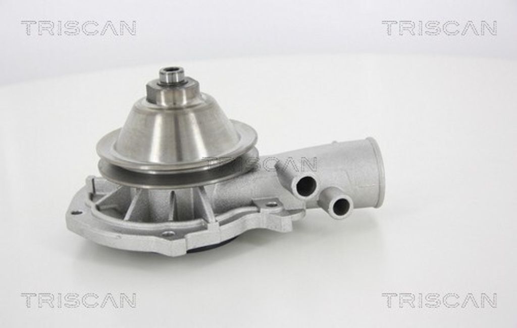 TRISCAN Wasserpumpe 8600 24895