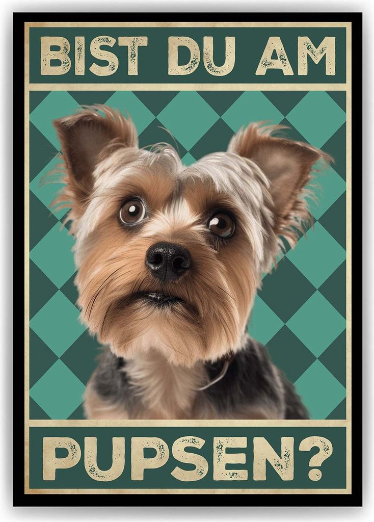 Yorkshire Terrier - Bist du am Pupsen? Hunde Poster Badezimmer Gästebad Wandbild Klo Toilette Dekoration Lustiges Gäste-WC Bild DIN A4 – DIN A4...