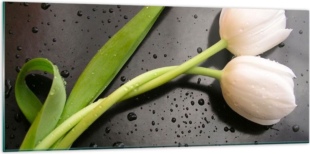 Bilder auf glas - Tulpen Blume Pflanzung Pflanze - 120x50cm - Glasbilder - Wandbilder - Kunstdruck - zum Aufhängen bereit - Wanddekoration aus Gla...