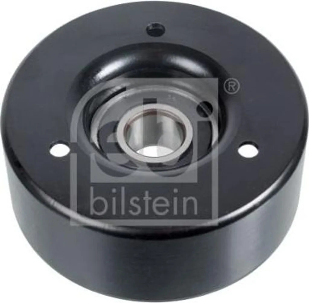 Febi Bilstein 19001 Galet de Renvoi pour Courroie d'Accessoire A1042001070
