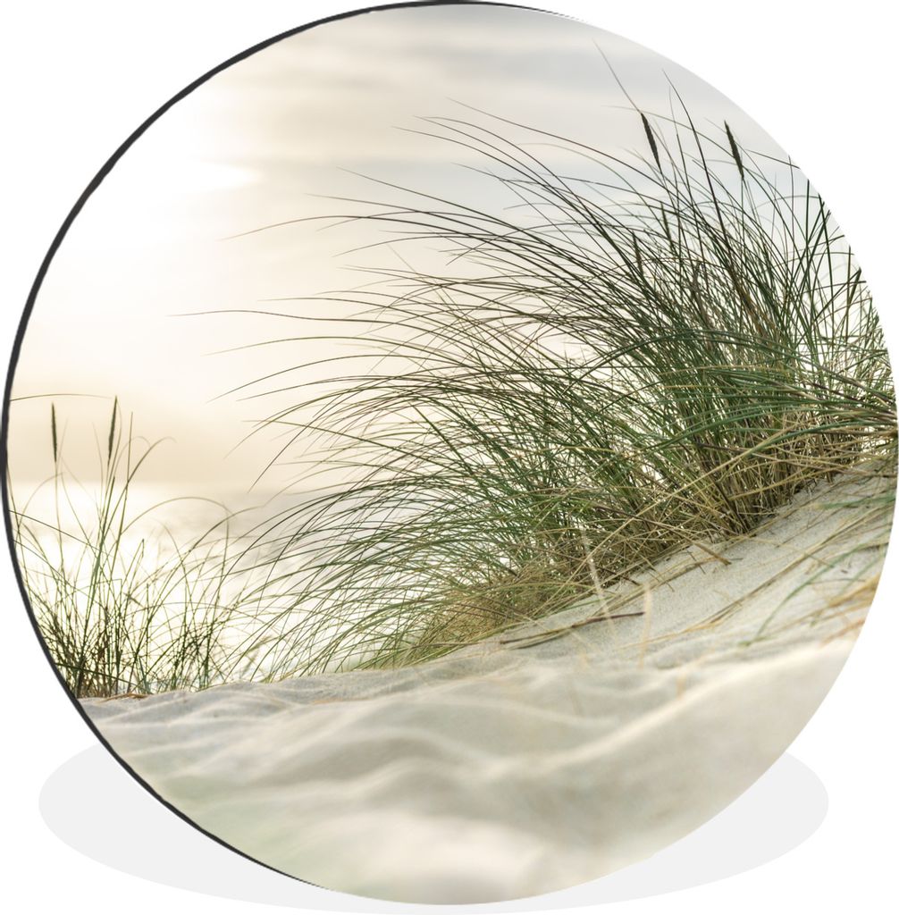 MuchoWow Aluminium Wandkreis Dünen mit Strandhafer in der Sonne des Nationalparks Schleswig-Holsteinisches Wattenmeer Ø 30 cm Wanddeko Modern W...