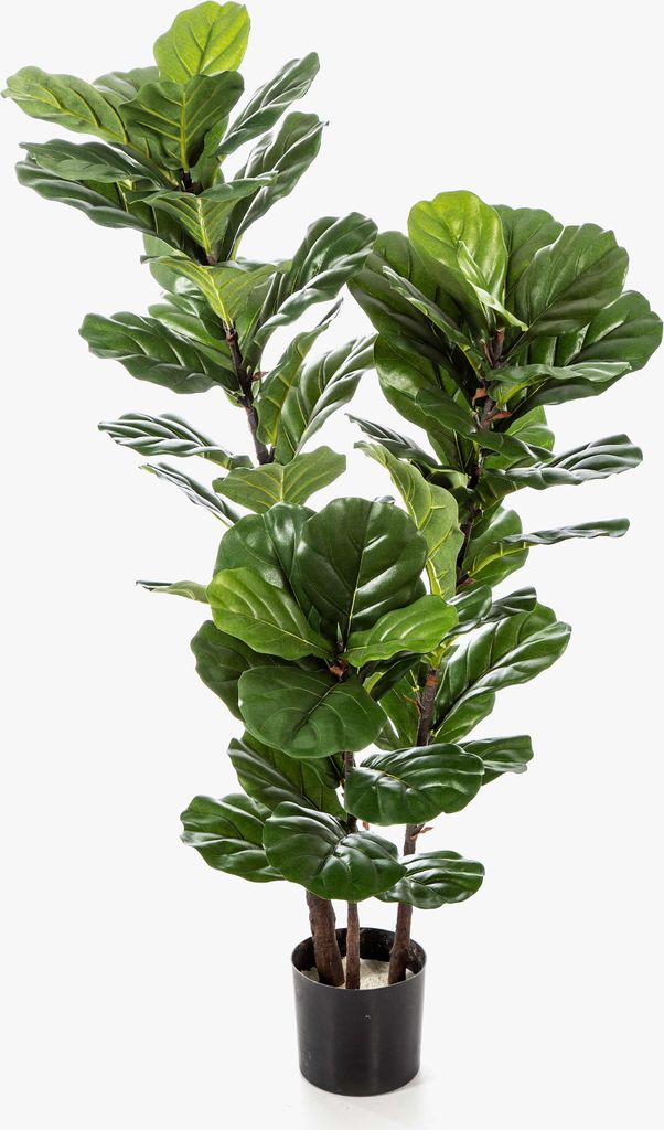 artplants.de Künstlicher Ficus Lyrata GUDJA, Kunststämme, grün, 130cm - Kunstficus