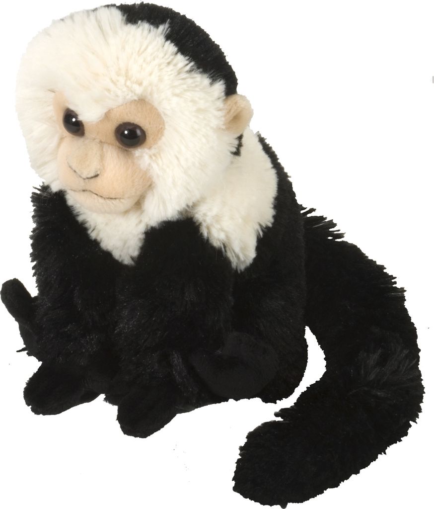 A stuffed toy monkey sitting on a white background.