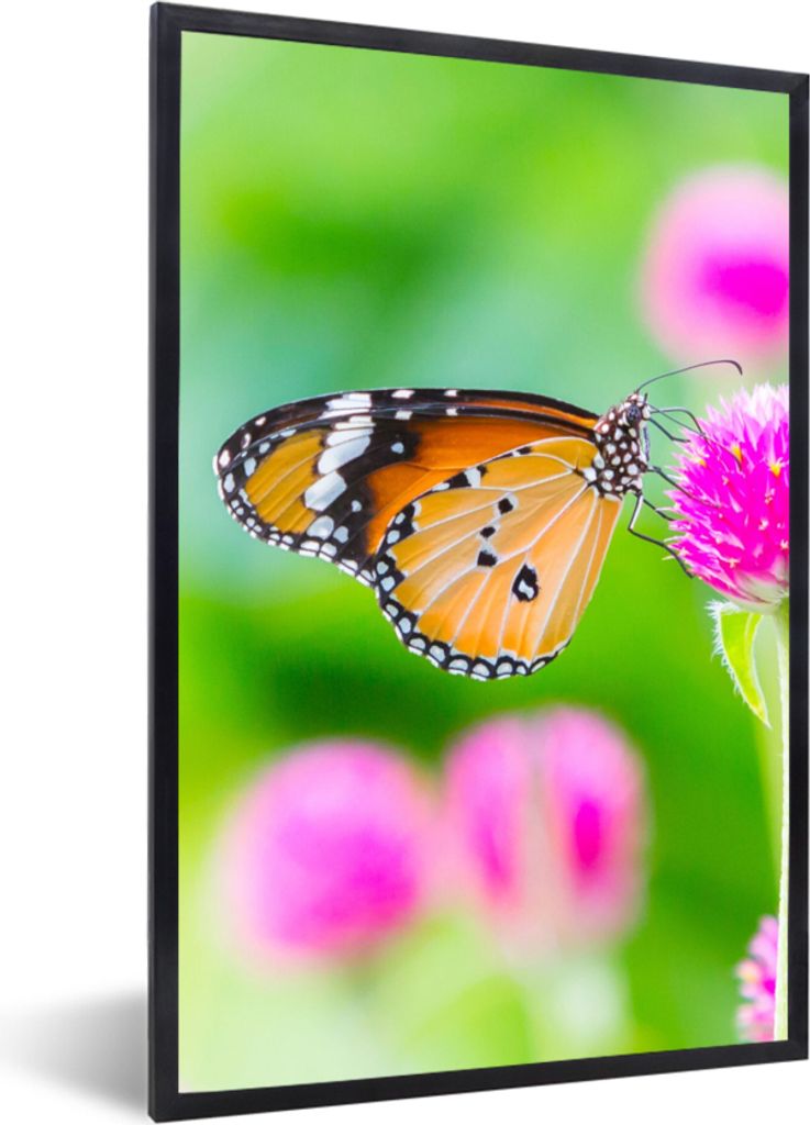 MuchoWow Gerahmtes Poster Landleben - Schmetterling - Distel - Blume 20x30 cm - Poster mit Schwarzem Bilderrahmen Wandposter Rahmen Foto Bilder -...