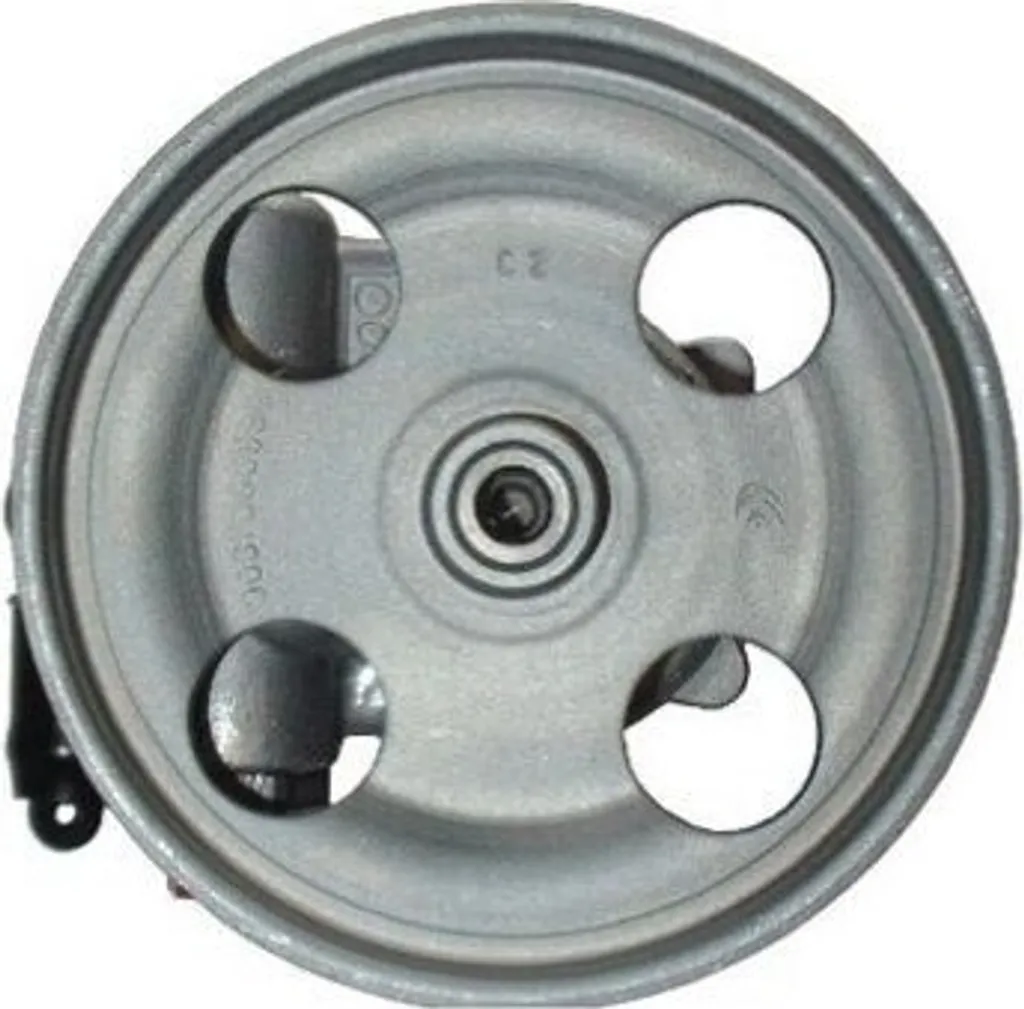 Pompe de Direction Assistée SPIDAN 54181 pour C5, C8 et Peugeot 406