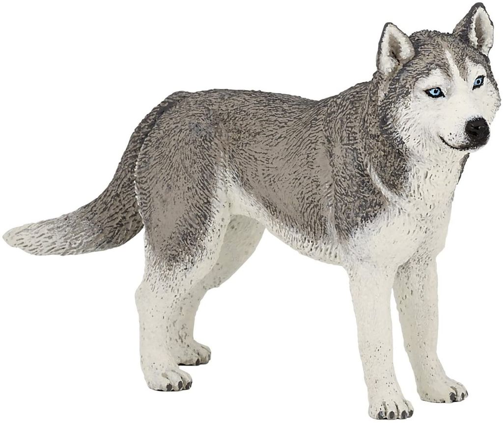 Papo Siberian Husky, Sammelfigur, Film & TV-Serien, 24 g Produktbild 