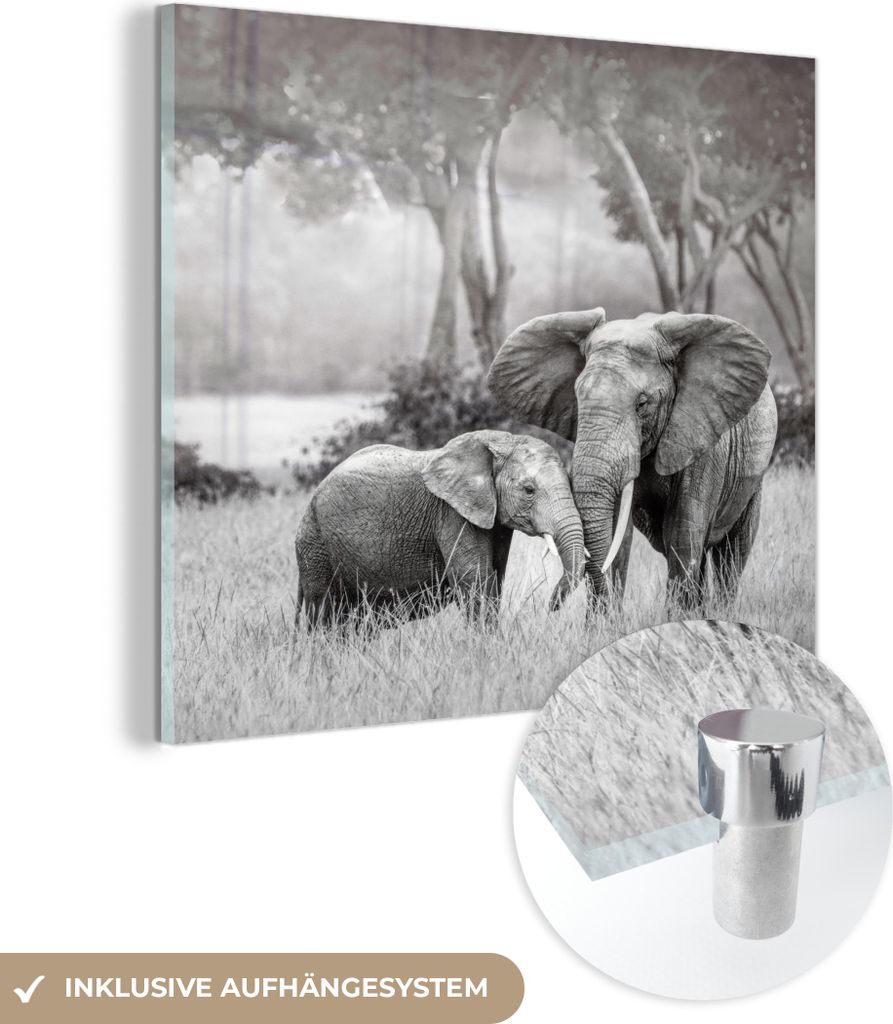MuchoWow Glasbilder - Bilder auf Wandbild - Foto auf Glas Elefant - Tiere - Natur - Schwarz und weiß 50x50 cm Wanddekoration aus Glas - Acrylglasb...