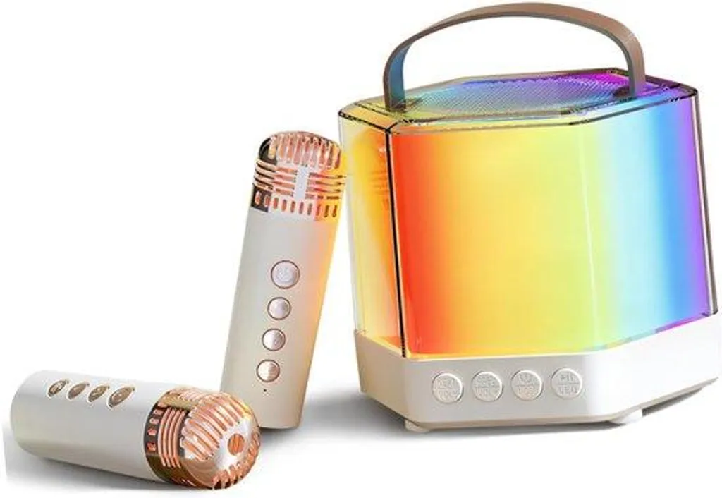 Kit karaoké sans fil Bluetooth avec son HD et micro à réduction de bruit