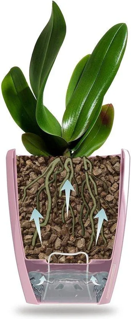Évitez le pourrissement des orchidées avec ces pots à réserve d'eau 15cm