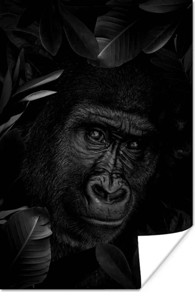 MuchoWow Poster Botanischer Affe auf dunklem Hintergrund - schwarz und weiß 60x90 cm - Wanddekoration