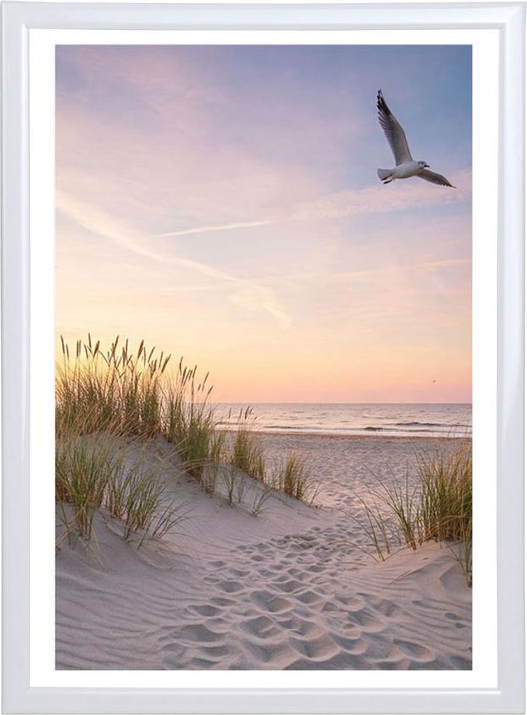 A serene beach scene at sunset with a path leading to the ocean and a seagull flying in the sky.