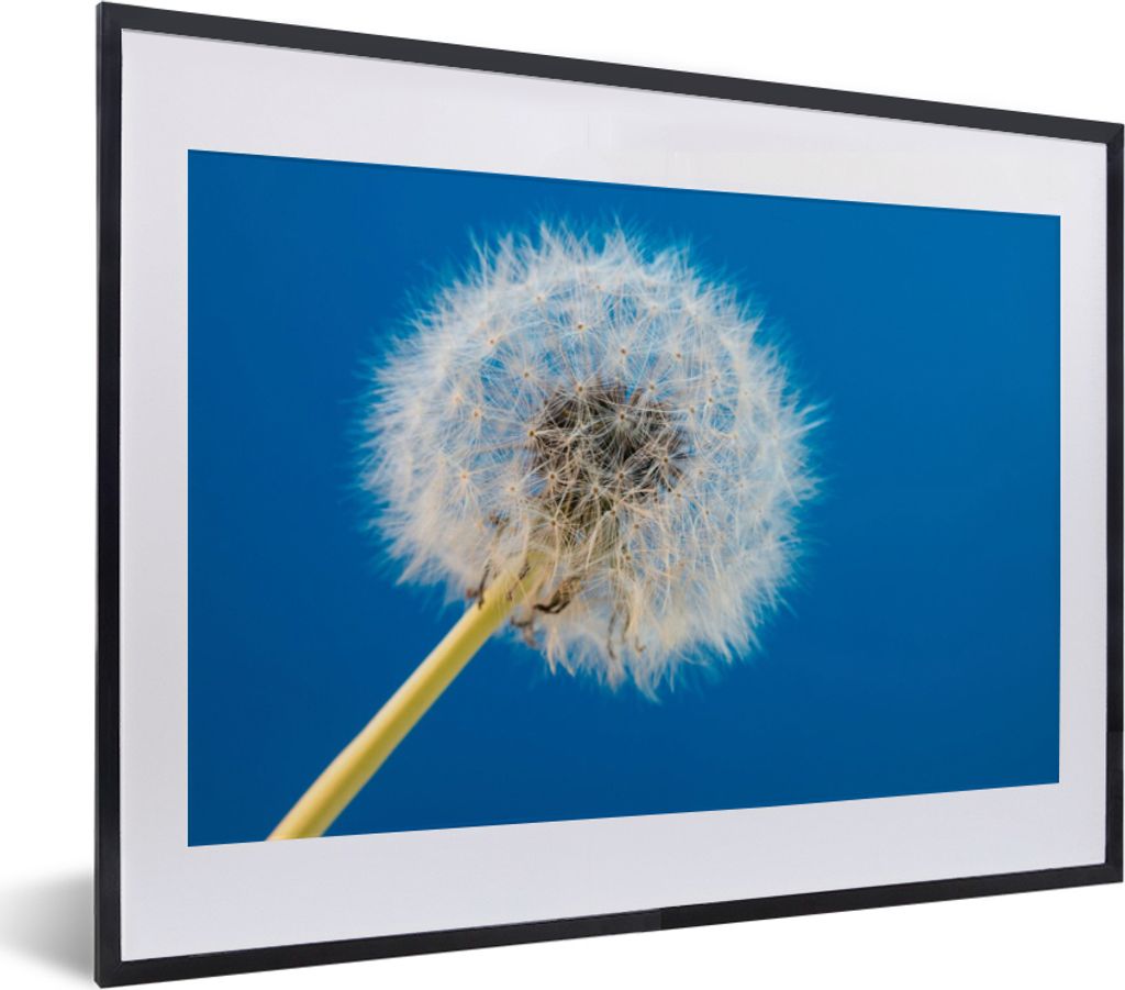 MuchoWow Gerahmtes Poster Löwenzahn - Blume - Terrasse 40x30 cm - Poster mit Schwarzem Bilderrahmen Wandposter Rahmen Foto Bilder - Bilderrahmen...
